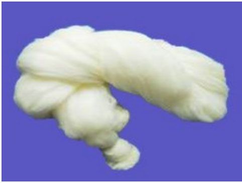 wS
